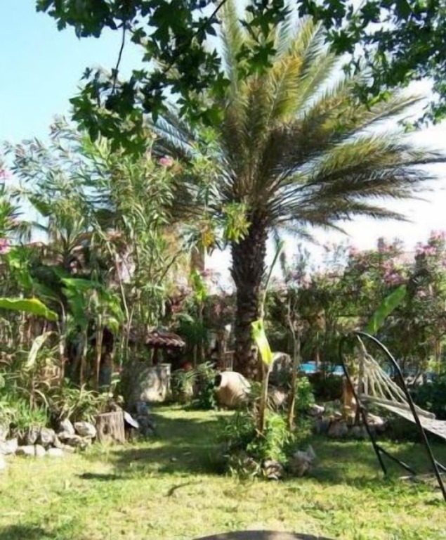 Дальян: Villa Poseidon Apartments