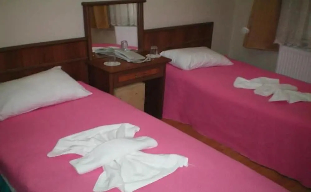 Эрзурум: Hekimoglu Otel