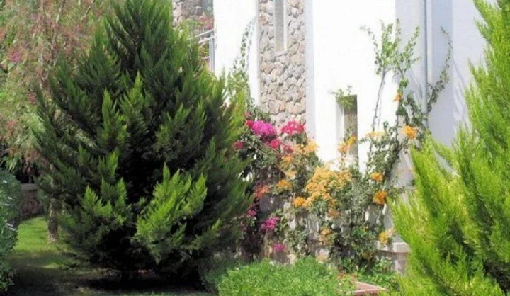 Яликавак: Villa Pelit Yalikavak - 2 Bedrooms