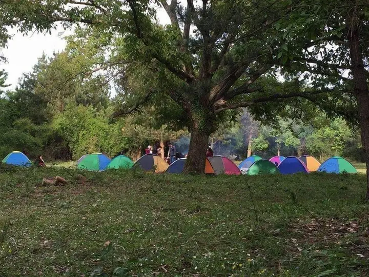 Kirkahvesi Garden - Campsite — фото 3