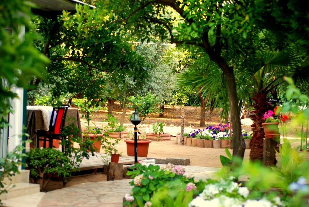 Чиралы: Cemil's Guest House