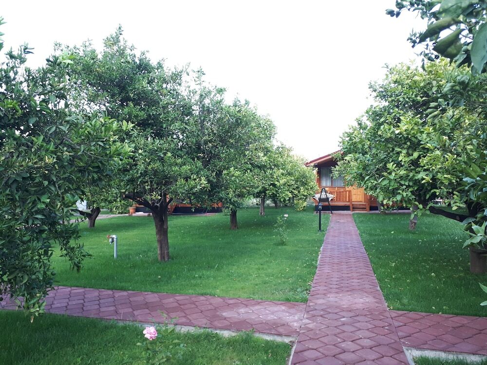 Чиралы: Asya Bungalow