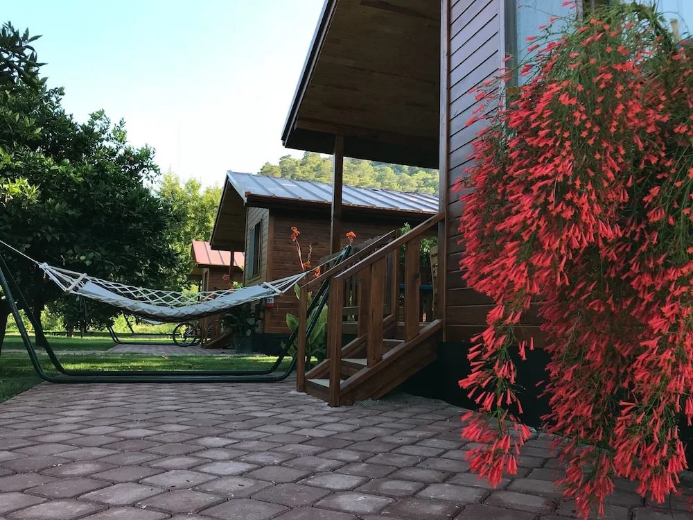 Чиралы: Asya Bungalow