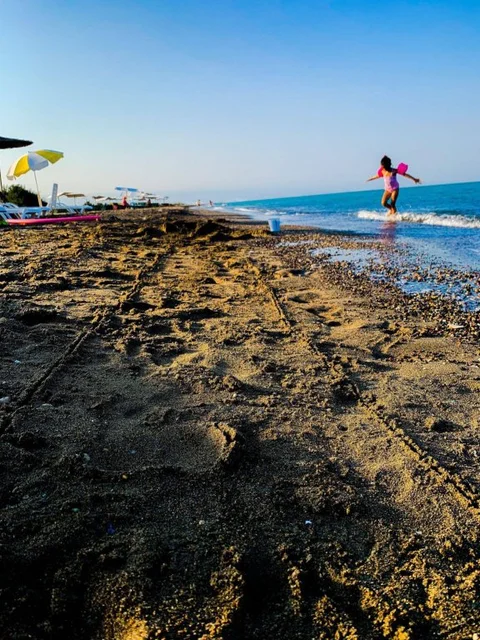 Силифке: Altinkum Tatil Koyu