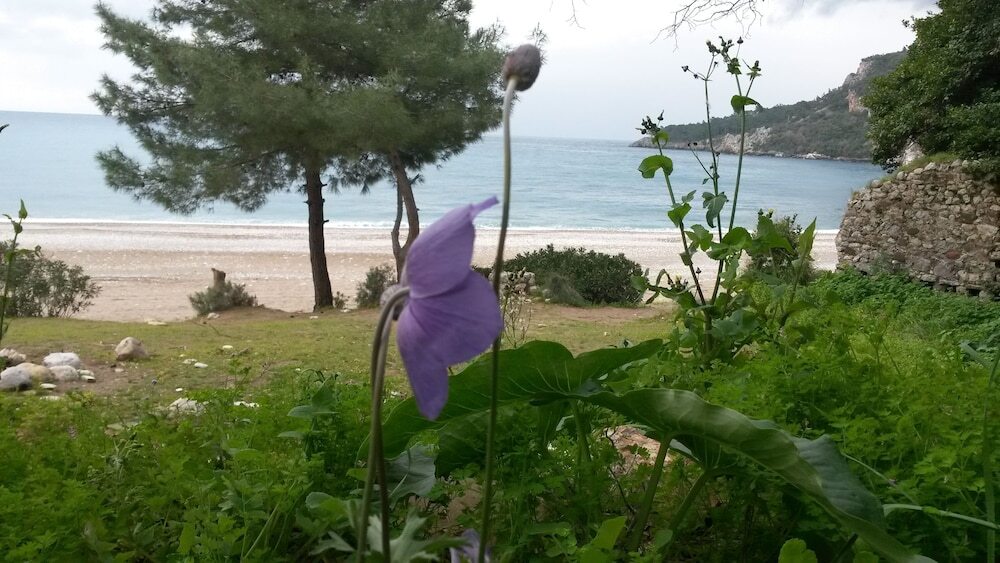 Чиралы: Hotel Yavuz Bungalow