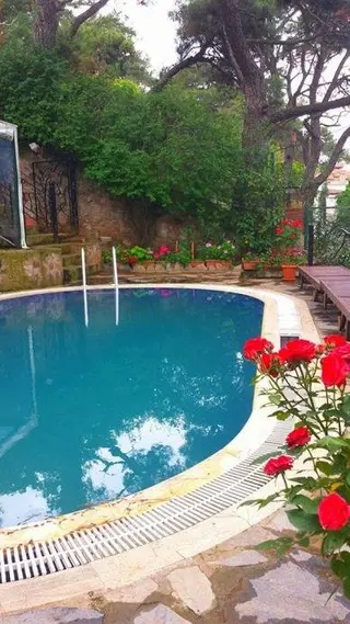 Бююкада: Kosk Orman Butik Otel