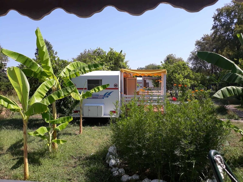 Чиралы: Bellerofon Camping