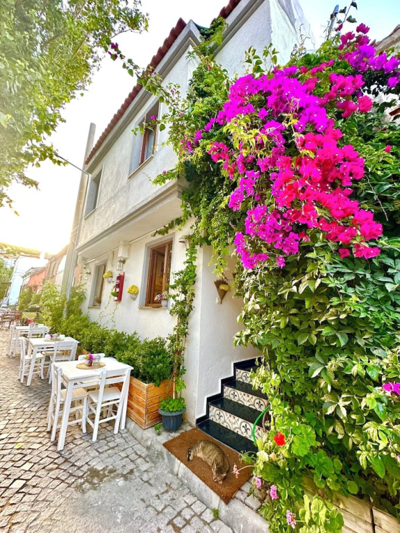 Бозджаада: Evren Butik Otel