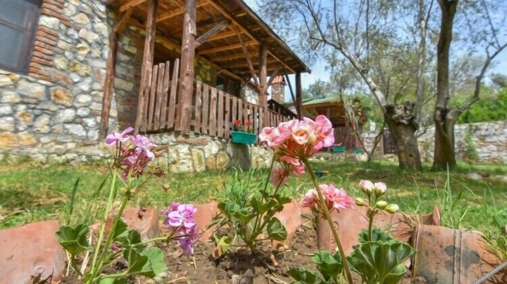 Алтынолук: Pavel'in Yeri Butik Otel
