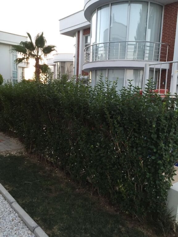 Белек: Ocean Villa 4