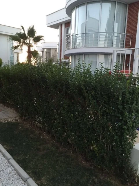 Белек: Ocean Villa 1