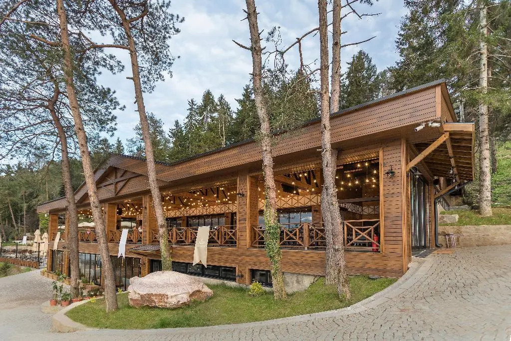 Чамбурну: Hancioglu Orman Evleri ve Hotel