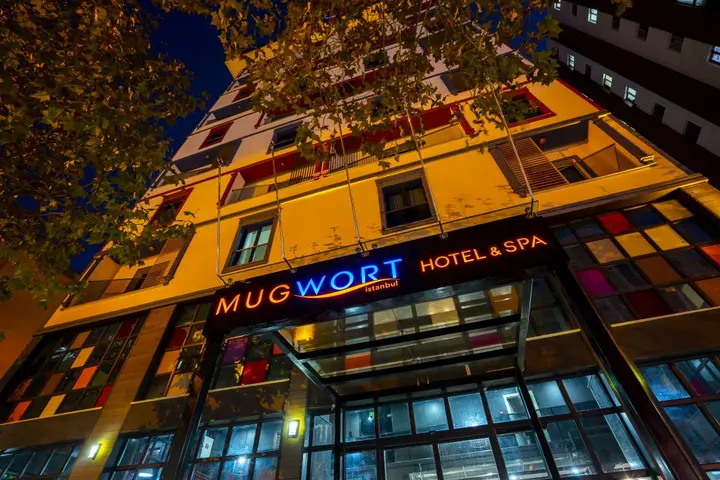 Стамбул: Mugwort Hotel&Spa