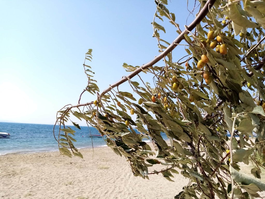 Эдремит: Вилла Yazduf Family Holiday Homes