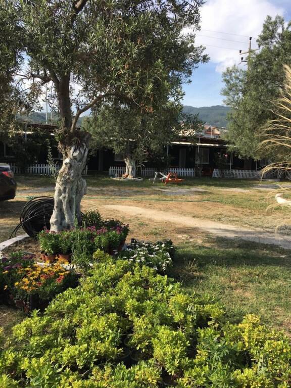Алтынолук: Ilgaz Motel