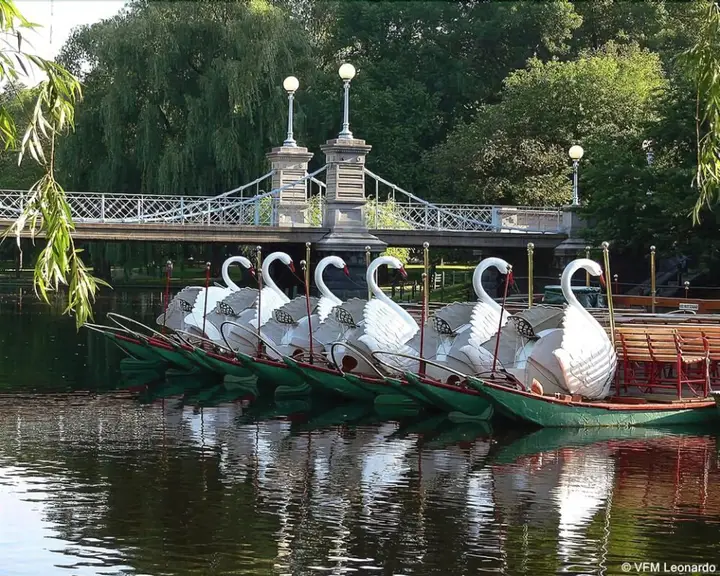 carousel image 3