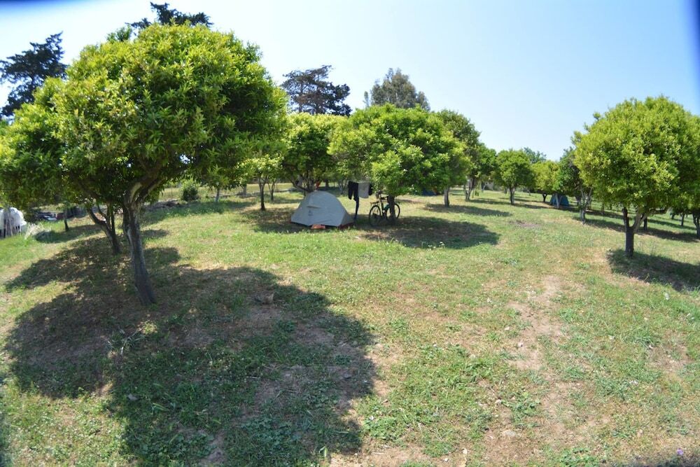 Bodrum Ecofarm Camp Hostel — фото 5