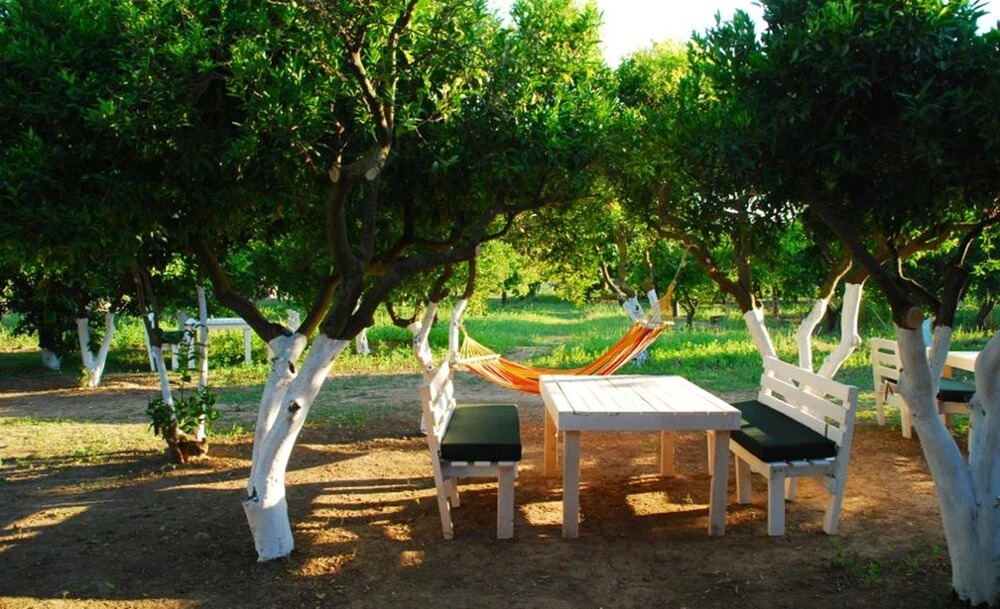 Bodrum Ecofarm Camp Hostel — фото 4