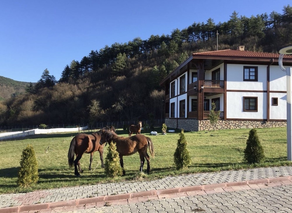 Гереде: Mengen Ruya Ciftligi Hotel
