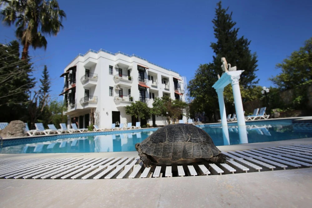 Кемер: Green Valley Boutique Hotel
