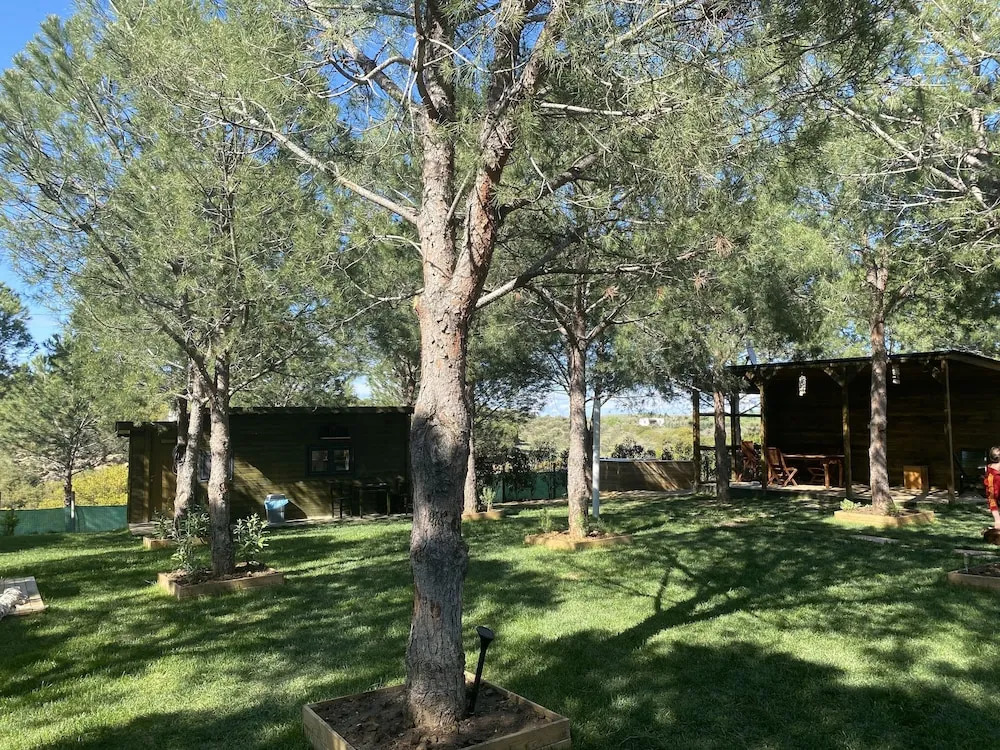 Бозджаада: Elyada Otel ve Bağ Evi (+8 Yaş)