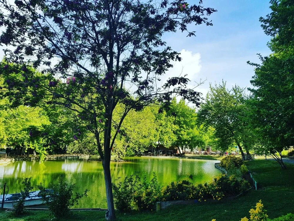 Урла: Otel Naturla Göl Evi
