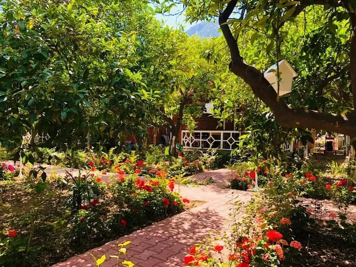 Чиралы: Eliz Inn Garden Apart