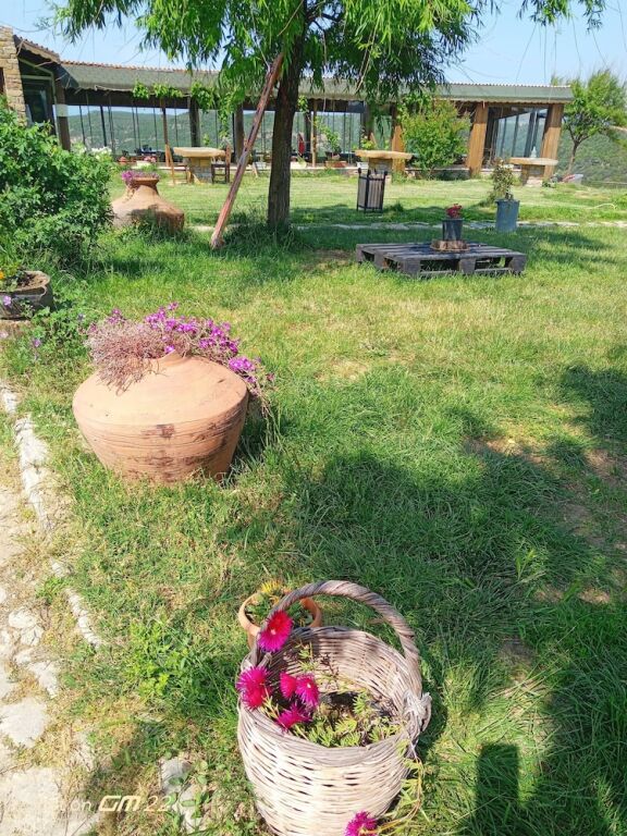 Зейтинликой: Kardeliz Butik Otel