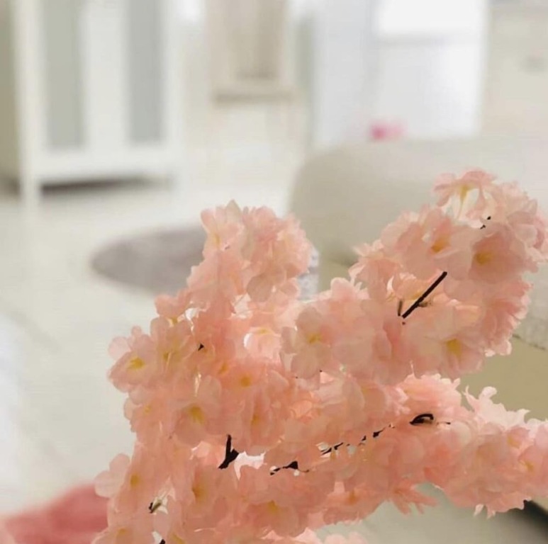 Янык: Beyaz Ev Butik Otel Masukiye