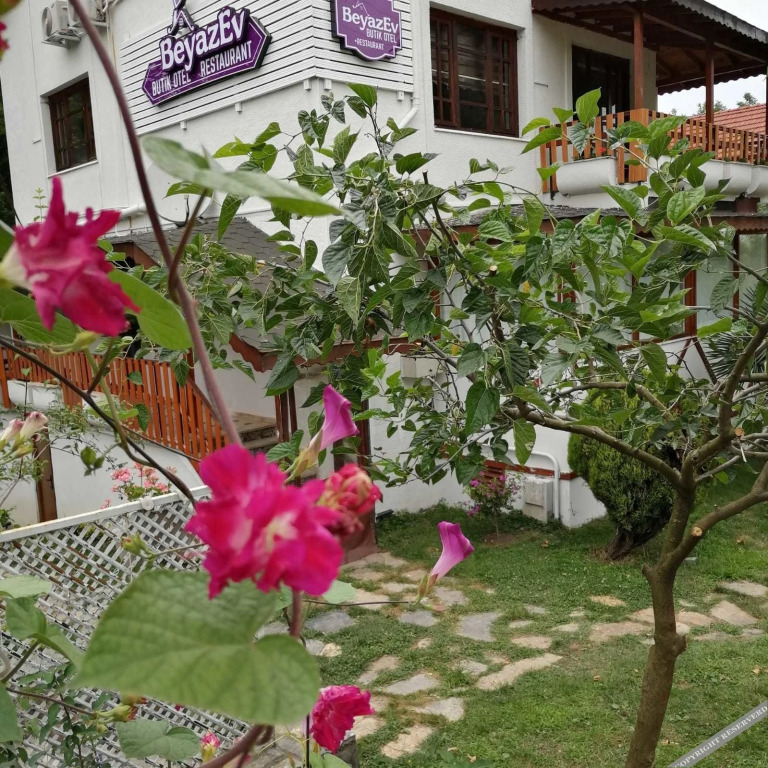 Янык: Beyaz Ev Butik Otel Masukiye