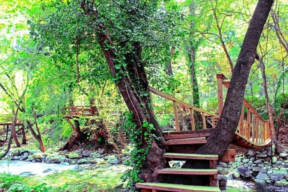 Эдремит: Antik Vadi Bungalov Otel