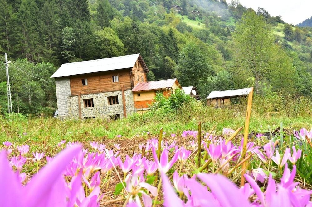 Чамлыхемшин: Zilkale Hotel & Koy Evi