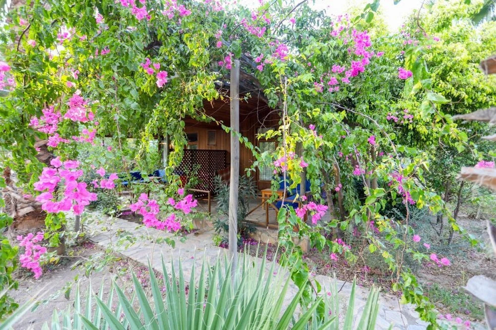 Датча: Bizim Cennet Otel Bungalow