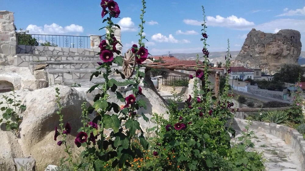 Ургуп: Aziz Cave Hotel