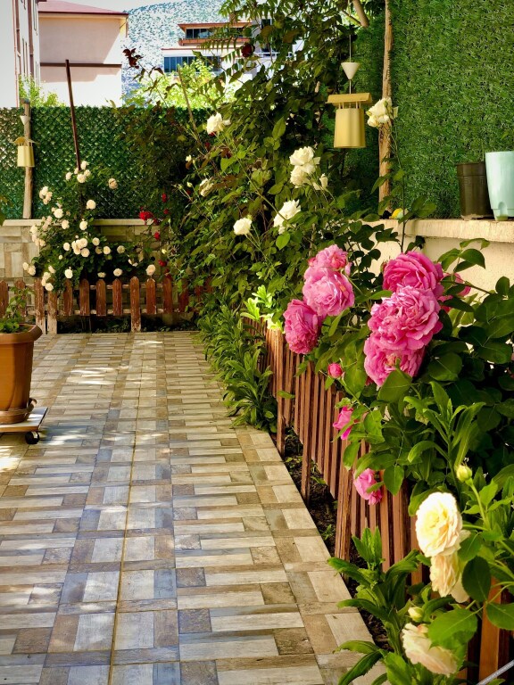 Амасья: Kehribar Otel & Cafe Restaurant
