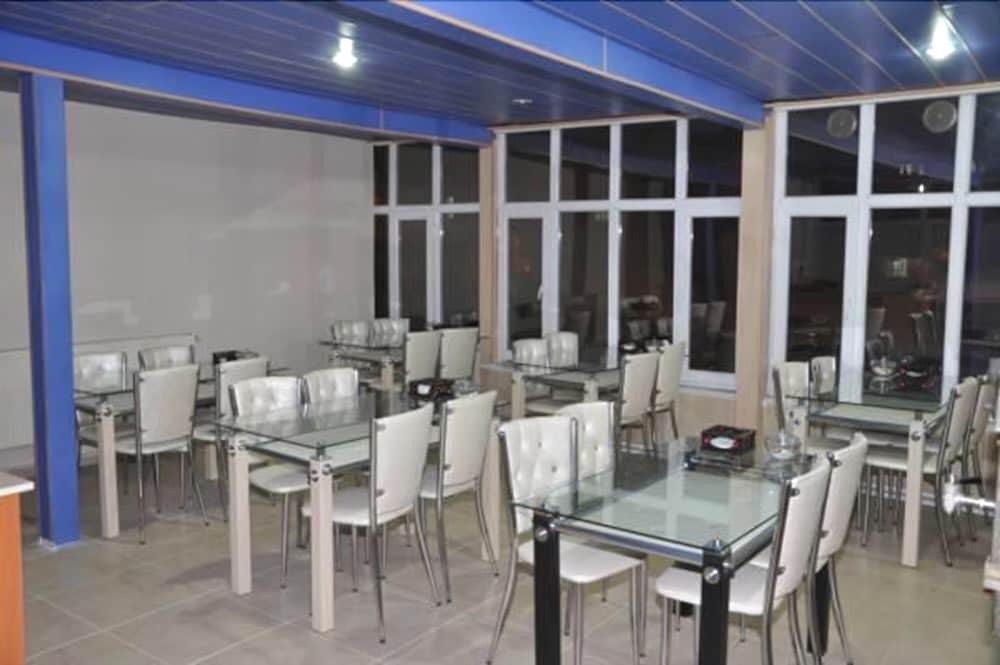 Сарыкамыш: Otel Celik Palas