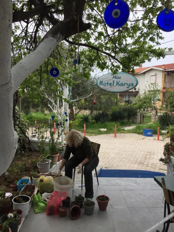 Орен: Miss Hotel Karya