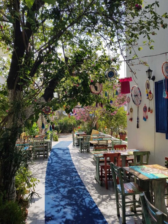 Орен: Miss Hotel Karya