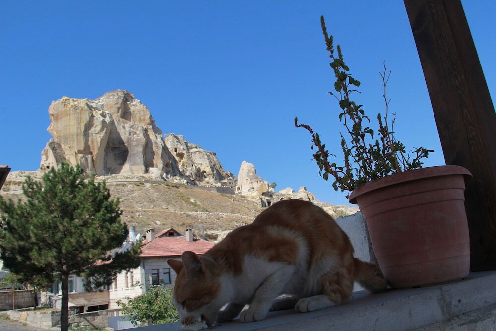 Ургуп: Tafana Cave & Stone Lodge