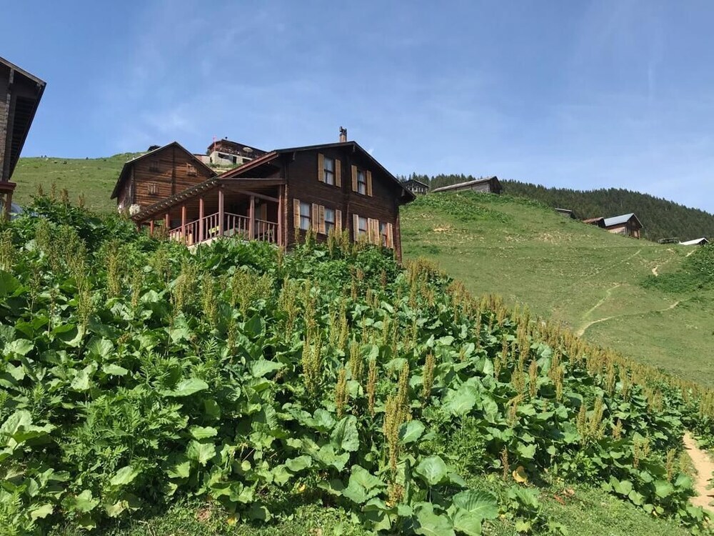 Чамлыхемшин: Pokut Inn