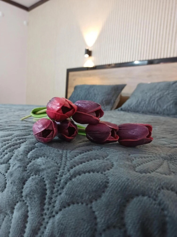 Аксарай: Suvari Hotel