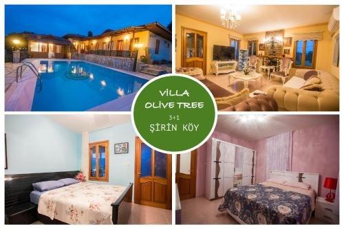 Villa Olive Tree — фото 5