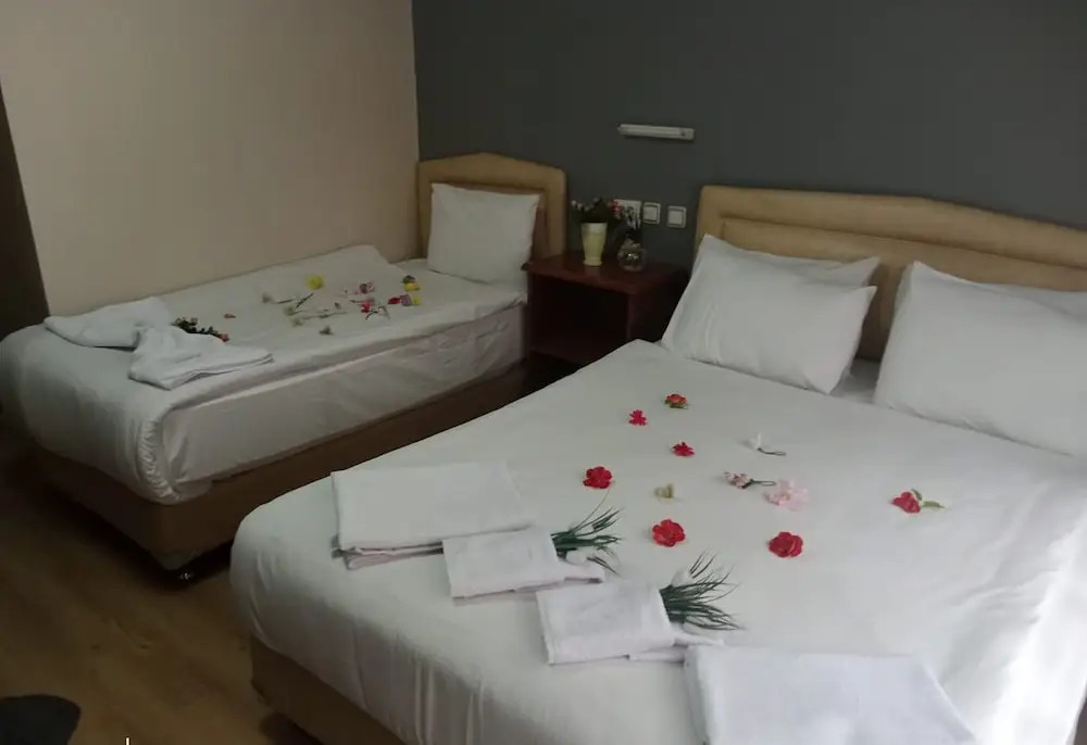 Бурса: Hotel Cesmeli