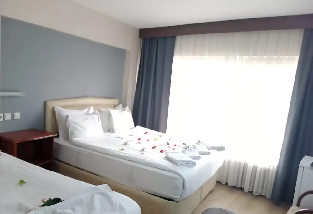 Бурса: Hotel Cesmeli