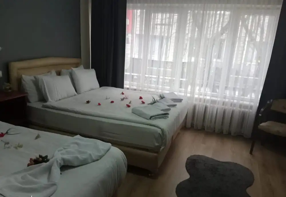 Бурса: Hotel Cesmeli