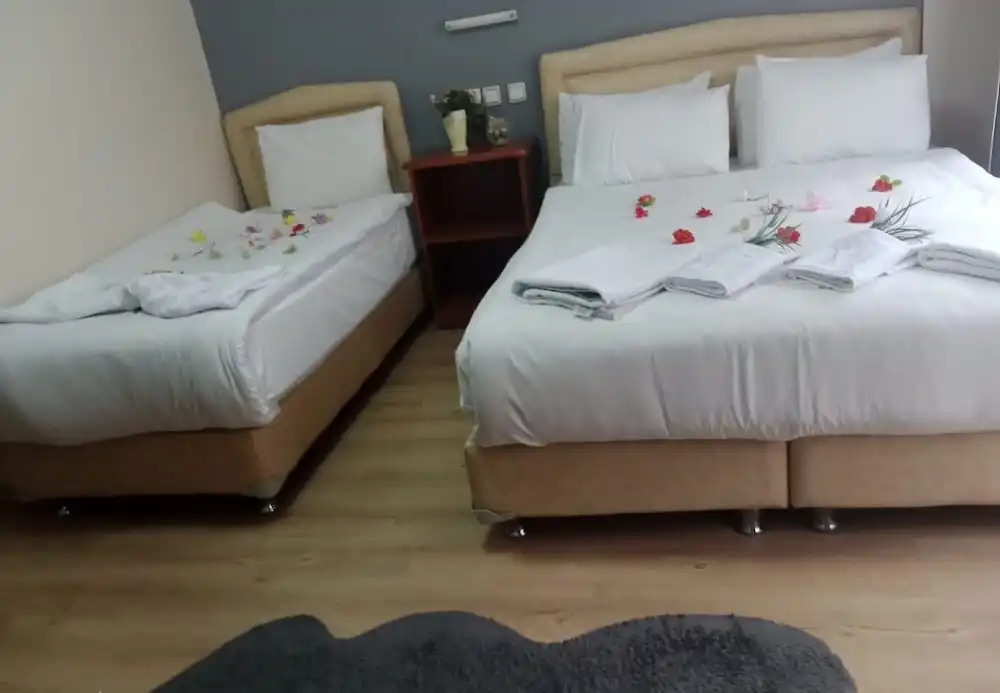 Бурса: Hotel Cesmeli