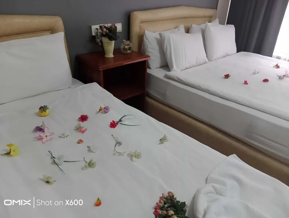 Бурса: Hotel Cesmeli