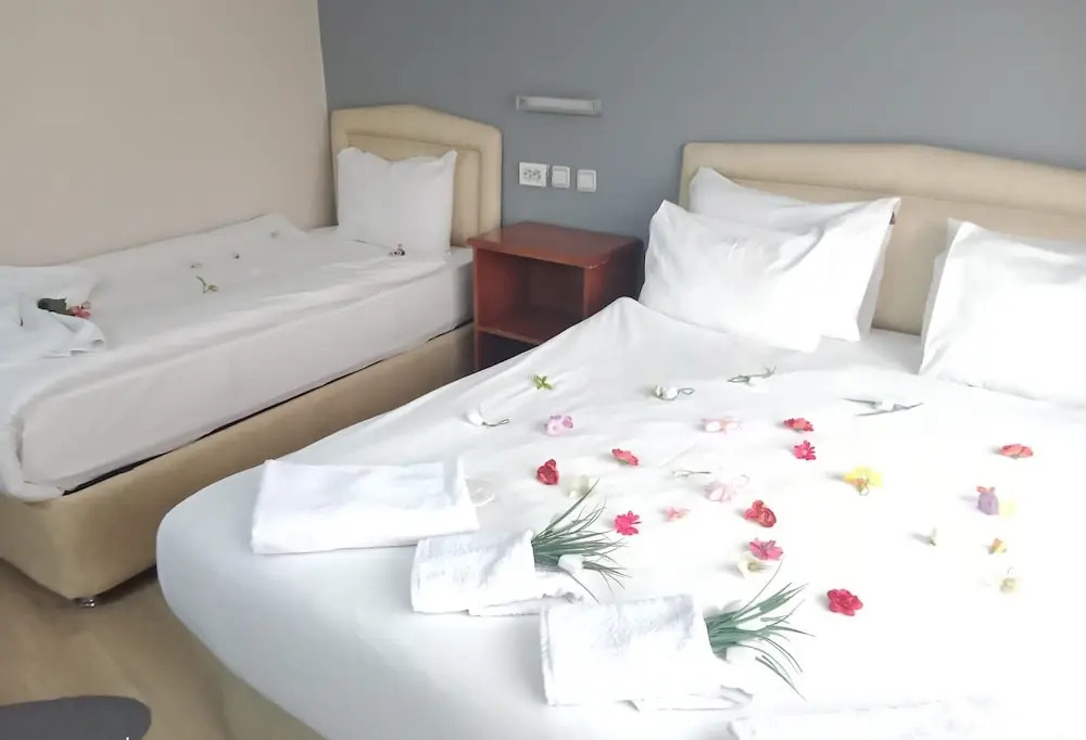 Бурса: Hotel Cesmeli
