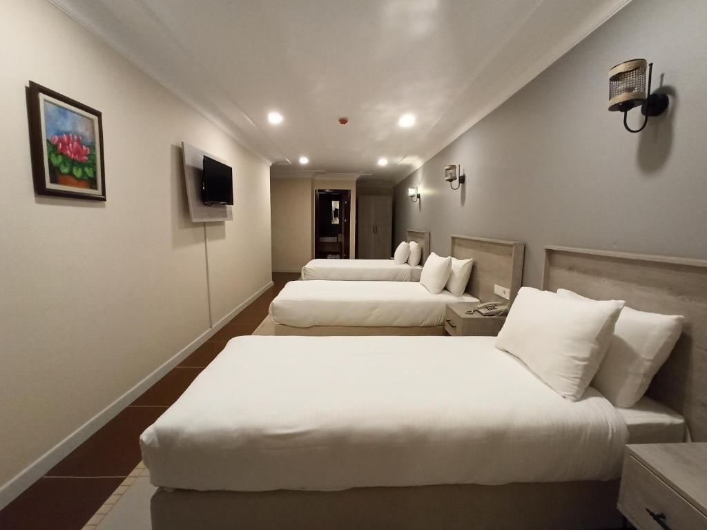 Бююкчекмедже: Marina Park Hotel