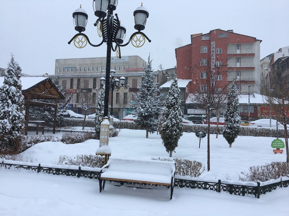 Эрзурум: Buyuk Akcay Hotel
